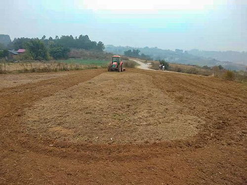 自贡荣县5000余台耕地机械闹春耕